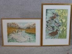 David Koster (British b.1926) Mute Swans, a coloured limited edition 5/50 pencil signed print,