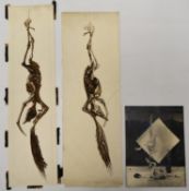 TREVOR FRANKLAND (British 1931-2011). Three studies of a dead bird. Ink on paper. H.53.5 W.18cm (