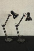 Two mid 20th century black painted Anglepoise lamps, each raised on circular bases. H.80cm. (each)