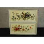 Unknown artist. Two botanical flower paintings showing butterflies. Framed. H.30 x W.64 cm. (each)