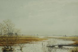 Peter Gill (British, 20th century), flood covered field, framed and signed watercolour on paper. H.
