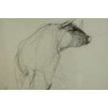 Marcus James (British b.1973) Bull, framed and signed pencil drawing on paper. H.87 W.96cm.