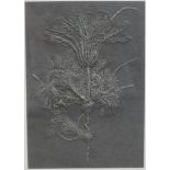 Modern embossed card, depiction of a thistle, framed. H.34 W.26cm