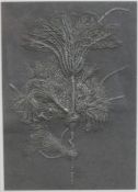 Modern embossed card, depiction of a thistle, framed. H.34 W.26cm