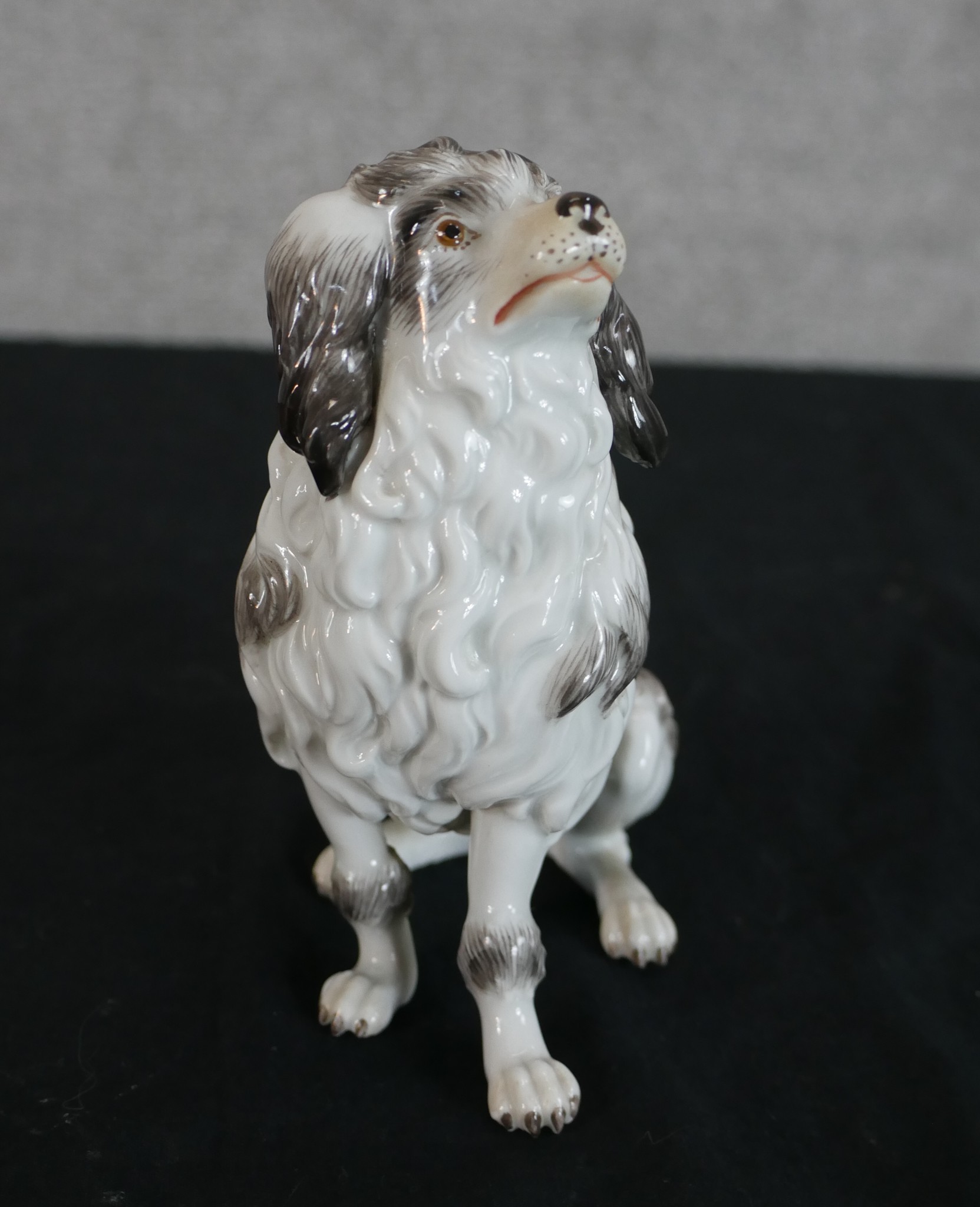 A late 19th/early 20th century Meissen porcelain model of a seated dog, impressed and painted - Image 2 of 3