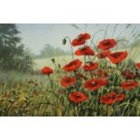 Kevin Curtis (British, 1958-2009), poppies in a field, a framed and glazed watercolour, signed and