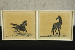 Two framed ink wash pictures of horses. Unsigned. H.29 x W.35 cm.