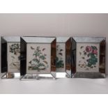 Four mirror framed and glazed coloured prints of botanical plates each with a different flower and i