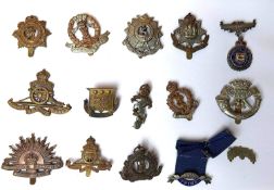 A collection of fifteen military cap badges.