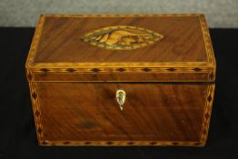 Tea caddy, Georgian mahogany with satinwood inlay. H.12 W.20cm.