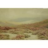 Watercolour. A Scottish heather covered moor. In a gilt decorated frame. Probably late Victorian.