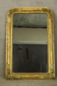 Overmantel mirror, 19th century, flowerhead carved giltwood. H.124 W.81cm.