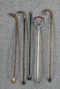 A collection of canes and a shooting stick. One with a horn handle. The largest measures H.94 cm.