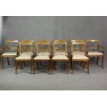 Dining chairs, a set of ten Regency style mahogany.