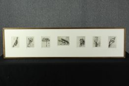 Jane Joseph (British). Seven etchings framed together. Each printed in an edition of 5 and each