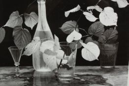 Jan Hardisty Photographic still life of leaves, a bottle and glasses. Signed bottom Jan Harding?