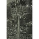 G. C. Goldman (British). Etching signed. Unnumbered but marked 'A.P' (artists proof). Framed and