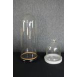 Two glass display domes and bases. Probably Edwardian. The largest measures H.52 cm.