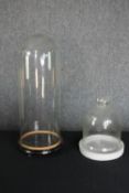 Two glass display domes and bases. Probably Edwardian. The largest measures H.52 cm.