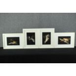 Four South African Jazz photographs. Unsigned. Framed and glazed. Each measuring H.44 x W.34 cm.