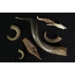 An assortment of horns from various species of animals. L.60cm.