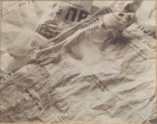 Jane E. Clark. Photograph. Fish skeleton arrangement with newspaper. Framed and glazed. H.46 x W.