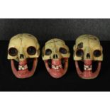 Three wooden carved skulls. Probably Mexican and early twentieth century. Hand painted and each