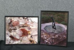 Two photographs. a sundial and leaves. Framed and glazed. Unsigned. Each measure H.36 x W.30 cm.