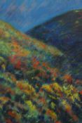 Sue Loder. Pastel. Abstract study. Field of flowers. Framed and glazed. H.57 x W.45 cm.