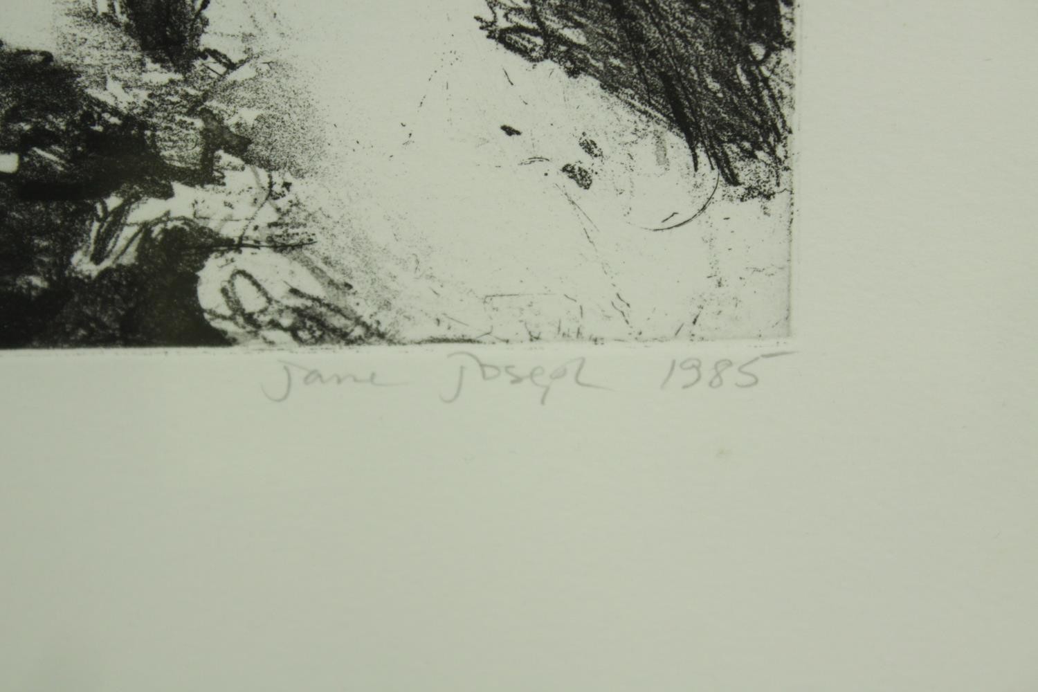 Jane Joseph (German b. 1942). Etching. Edition of 20. This one is numbered 16/20. Signed bottom - Image 3 of 5