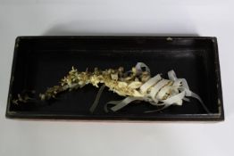 Wax flowers tied in ribbon and housed in a Chinese lacquered box. The box measures L.29 cm.
