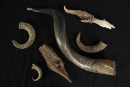 An assortment of horns from various species of animals. L.60cm.