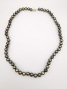 A knotted green cultured pearl necklace with 9ct yellow gold clasp. The necklace comprises of