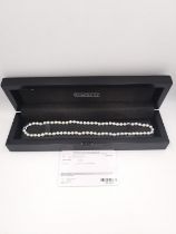 A boxed AAAA round white Japanese Akoya pearl necklace with platinum clasp. Accompanied by