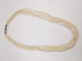 A 19th century five strand natural seed pearl necklace with secure C-sprung clasp. L.38cm