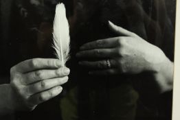 Jane E Clark. 'White feather'. From a series of works based on the Great War and the white feather