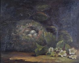 Oil on canvas with picture light. Still life. A bird's nest and flowers. Unsigned. Remains of a