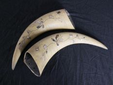 Shibayama Buffalo horns. A pair, decorated with mother of pearl. Early twentieth century. H.41 W.