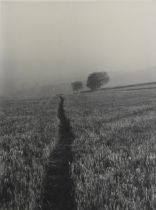 Jane E. Clark. Photograph. Landscape. Framed and glazed. W.45 x H.32 x W.25 cm.