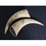 Shibayama Buffalo horns. A pair, decorated with mother of pearl. Early twentieth century. H.41 W.