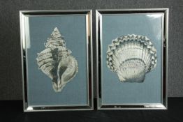 Two framed prints. Shells in modern mirrored frames. Unsigned. Each measures H.67 W.46 cm.