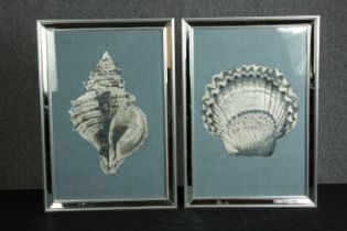 Two framed prints. Shells in modern mirrored frames. Unsigned. Each measures H.67 W.46 cm.