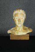A mid century large sculpted plaster bust of a female with hair in a bun. Mounted on a wooden