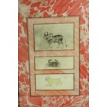 Three Indian 19th century watercolours of animals. Naive in style. On a red and white hand marbled