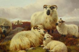William Watson Jnr. (British. 1847-1921) Sheep in a landscape. Painting oil on canvas. Possibly