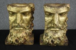 Two gilt resin busts. Sections of classical faces. each measures H.40 W.30 D.28 cm.