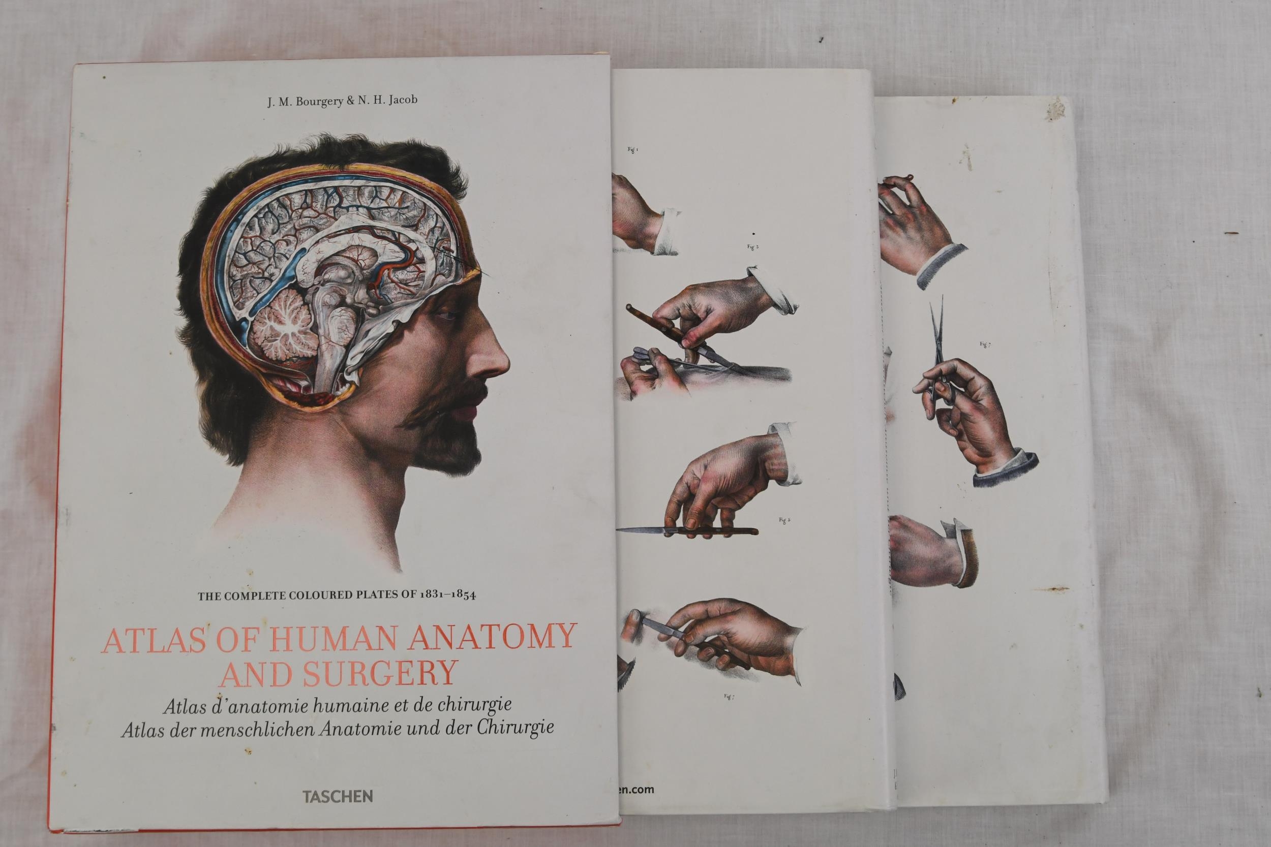 The Complete Atlas of Human Anatomy and Surgery. Published Taschen. 832 pages. A two volume set in a