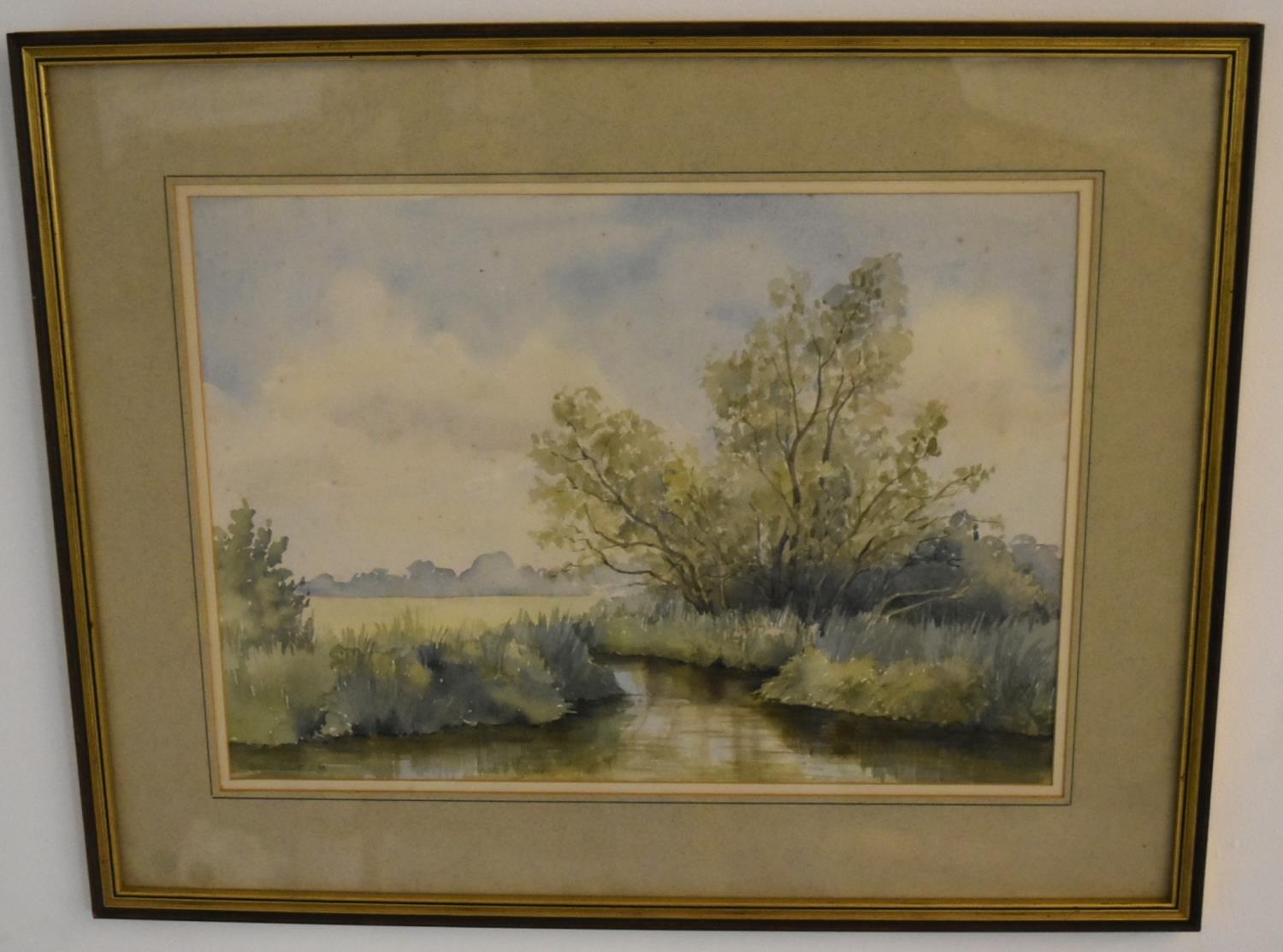 Jenny Jowett (1936 - 2019); Tranquil Lake, watercolour on paper, framed and glazed, signed. H.49 W. - Image 2 of 6