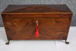 A Regency fitted yew wood tea caddy raised on brass lion's paw feet. H.26 W.32 D.17cm.
