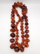 A early 20th century very long knotted graduated Baltic amber bead necklace. Weight 136g L.100cm